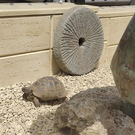 La Doi Pasi De Mare Hotel Vama Veche Ngoại thất bức ảnh