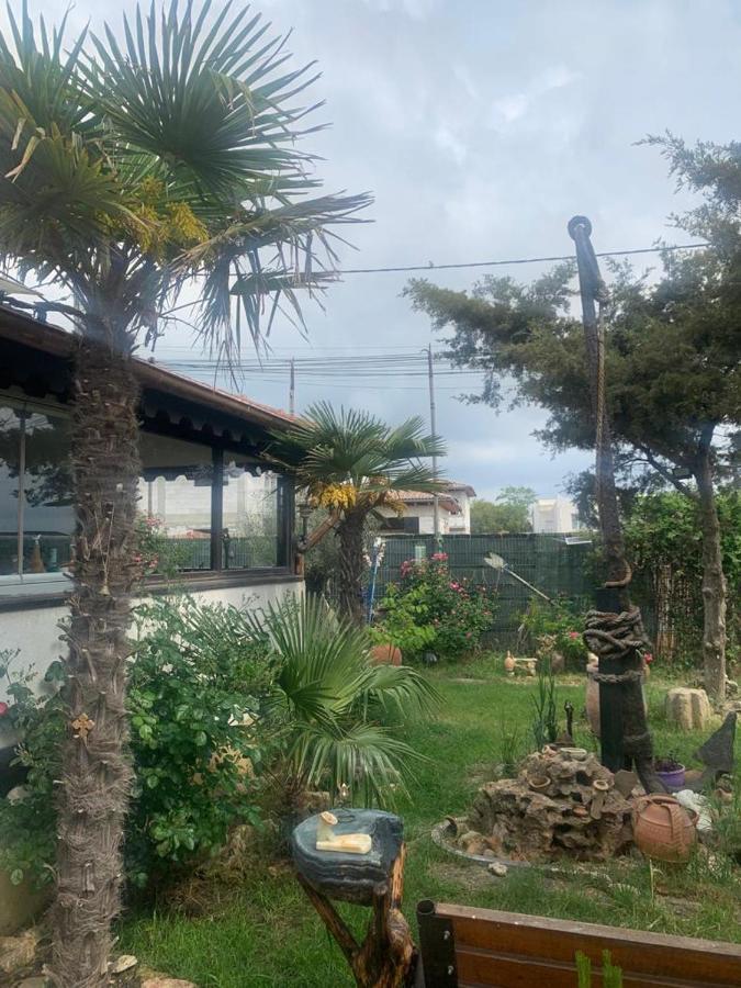 La Doi Pasi De Mare Hotel Vama Veche Ngoại thất bức ảnh